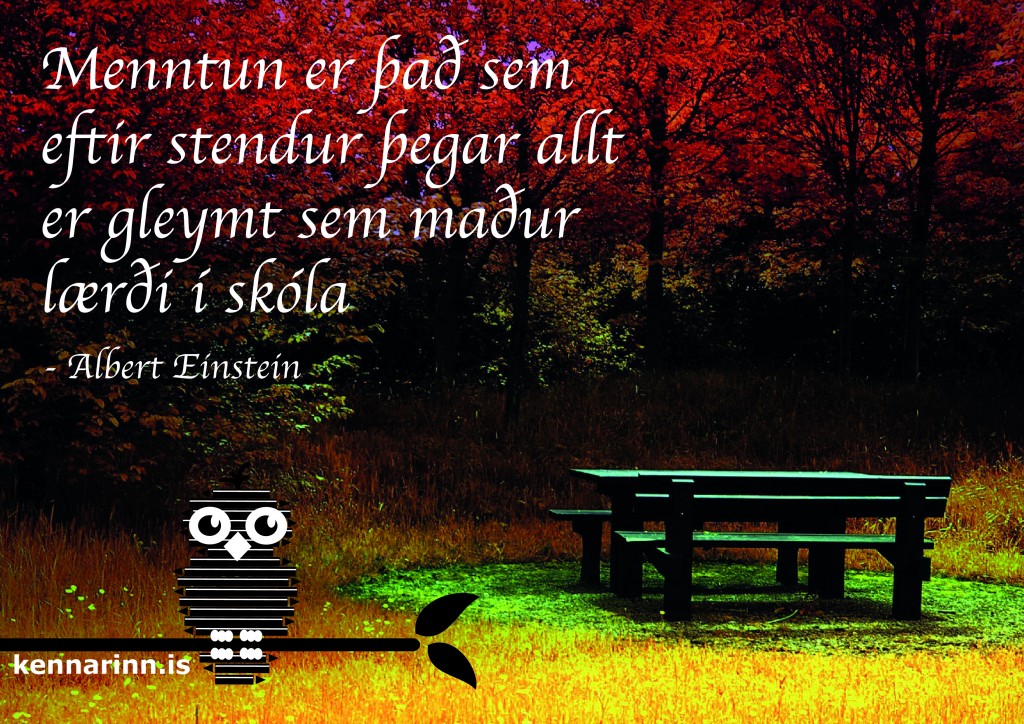 speki_22_alberteinstein-01