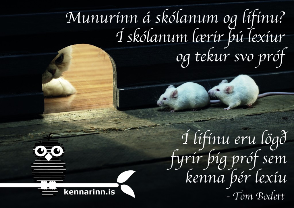 speki_28lifid_skolinn-01