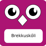 17_brekkuskoli