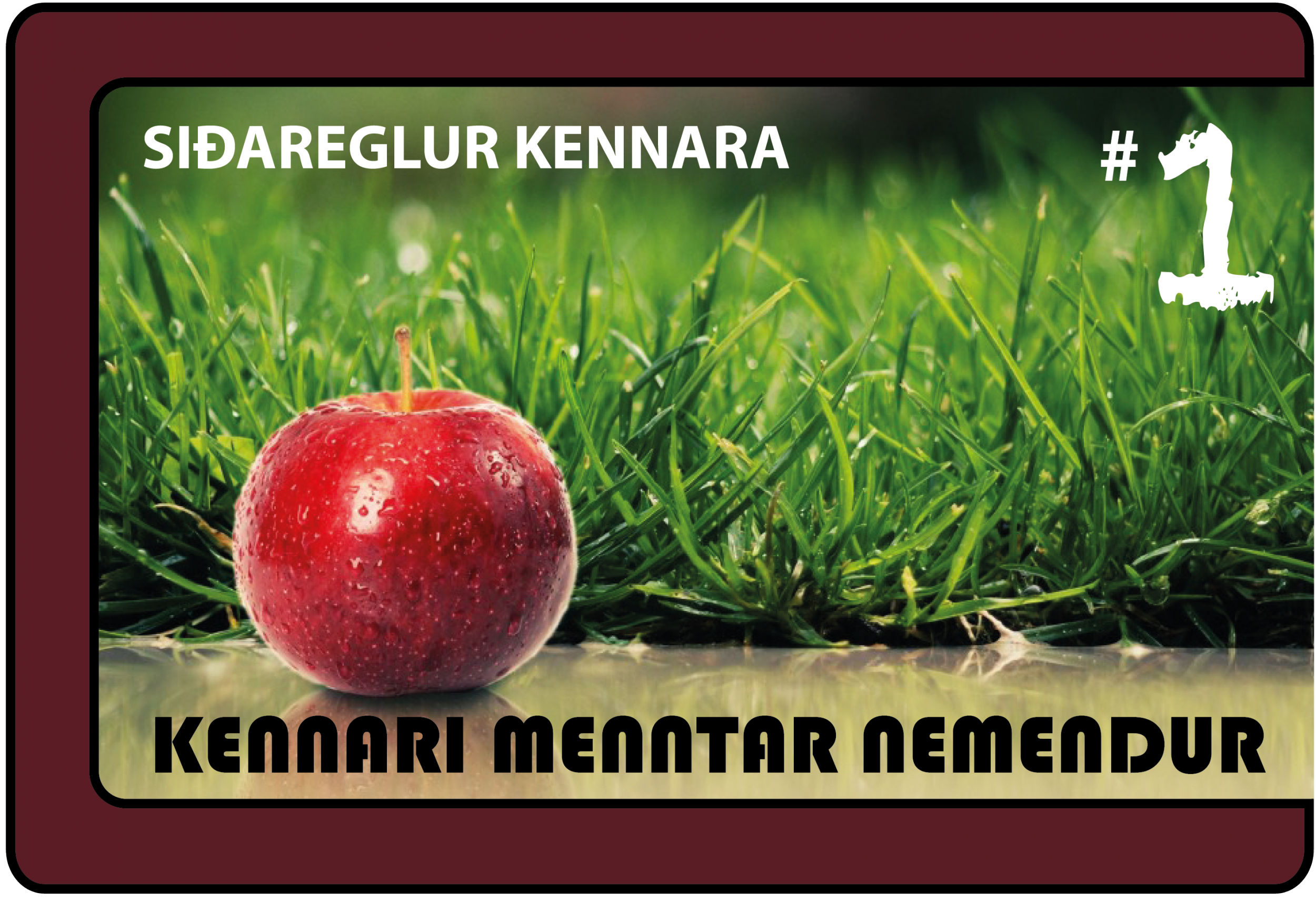 sidaregla1_2-01 copy